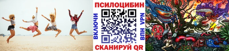 дарнет шоп  Миасс  Галлюциногенные грибы мицелий 