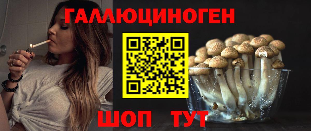 как найти   Галлюциногенные грибы GOLDEN TEACHER  Вход с VPN  Галлюциногенные грибы GOLDEN TEACHER  Миасс 