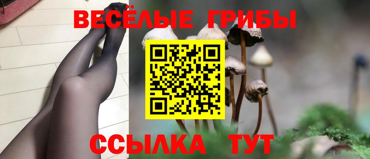  COCAIN Миасс